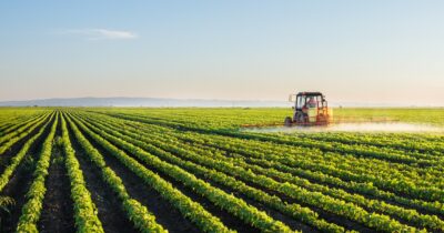 Soybean Prices are Flirting With Records, US Farmers Might Win Big