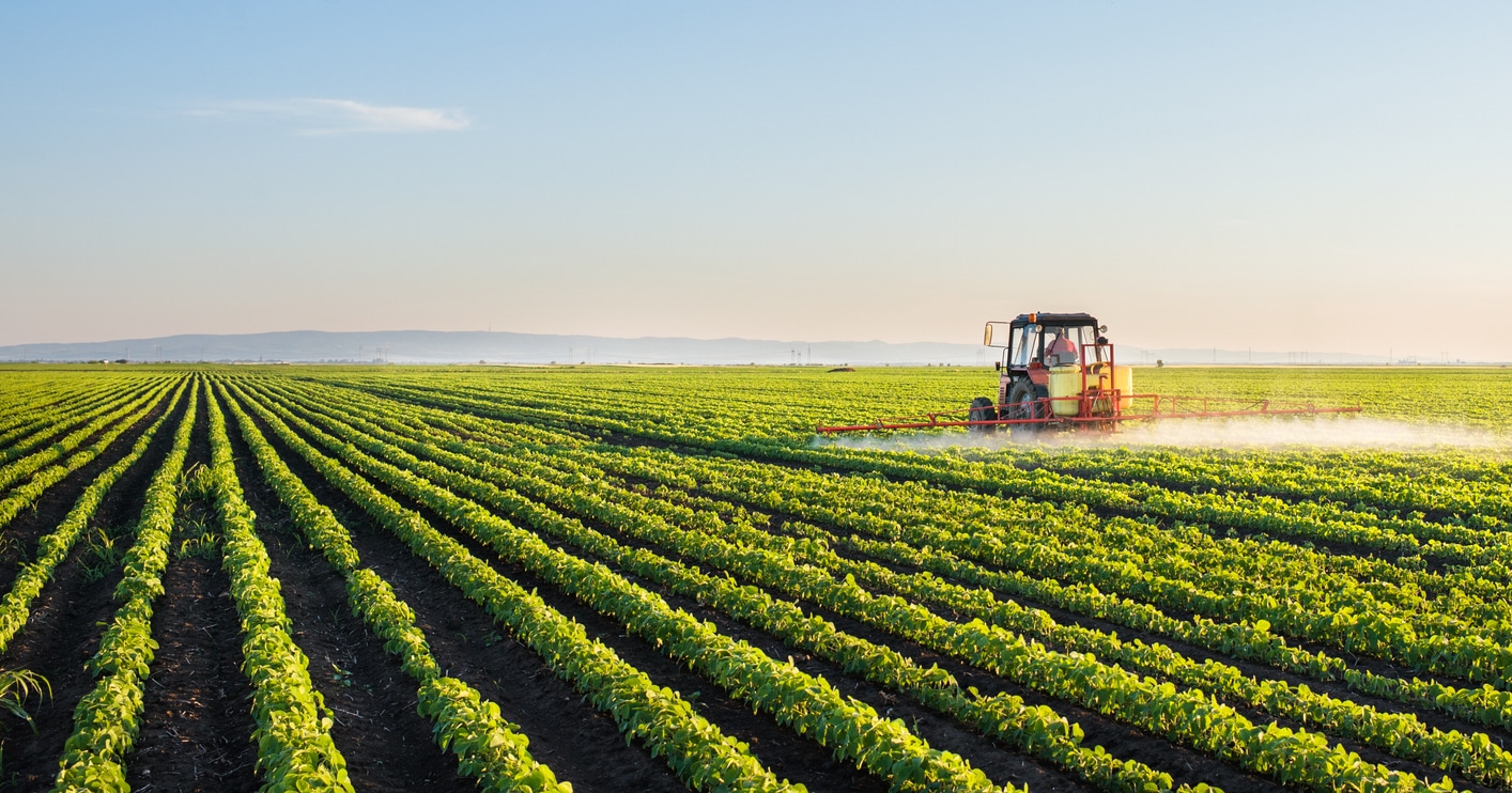 Soybean Prices are Flirting With Records, US Farmers Might Win Big