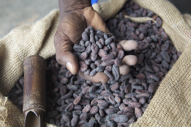 British Startup is Breaking the Cocoa Supply Chain
