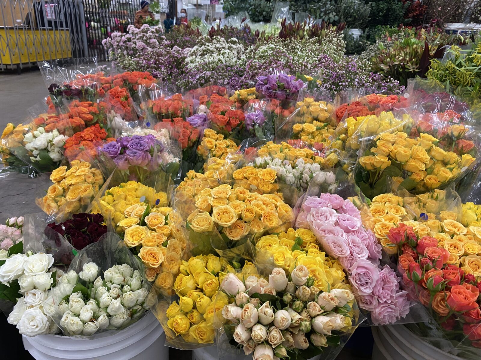 Commercial Flower Power: How the Global Flower Trade Continues to Blossom