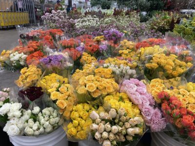 Commercial Flower Power: How the Global Flower Trade Continues to Blossom