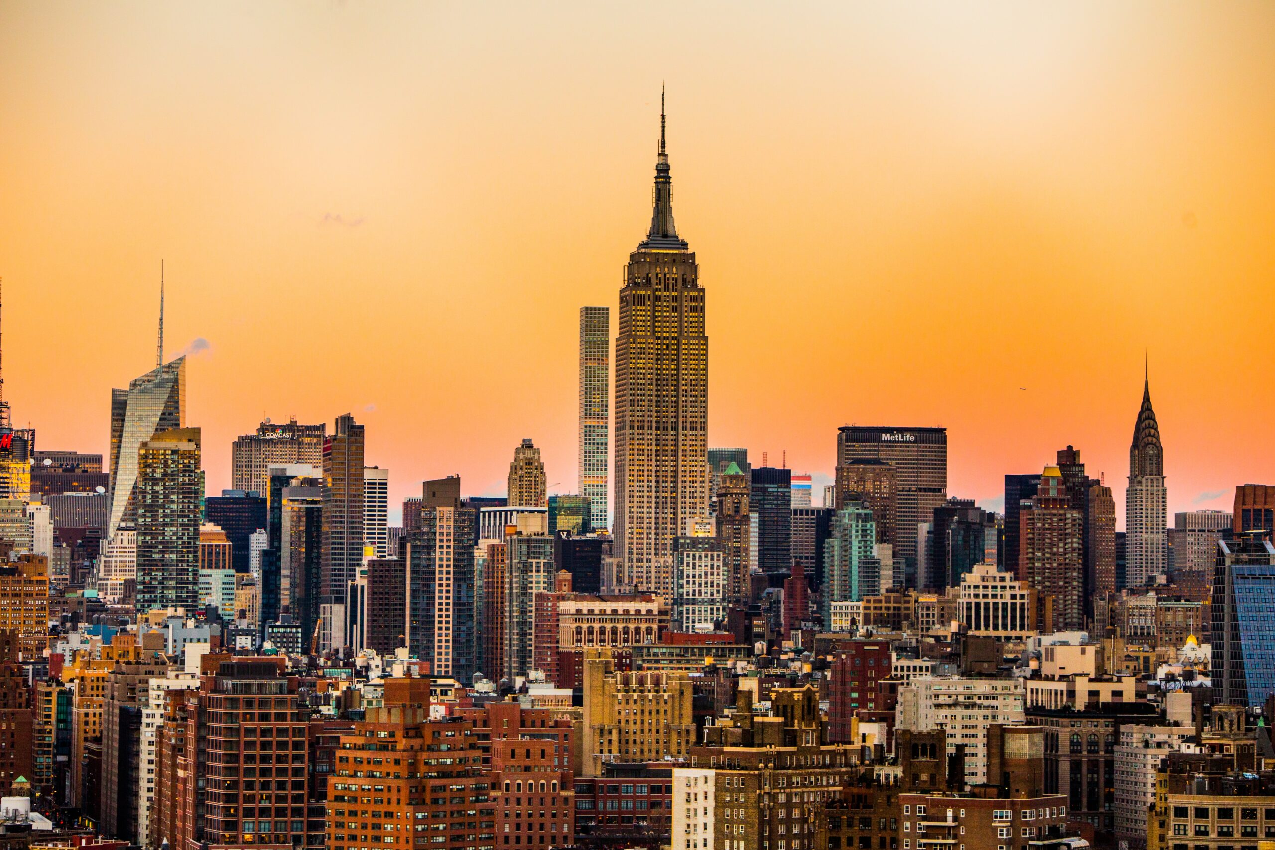 (Photo Credit: Michael Discenza/Unsplash)