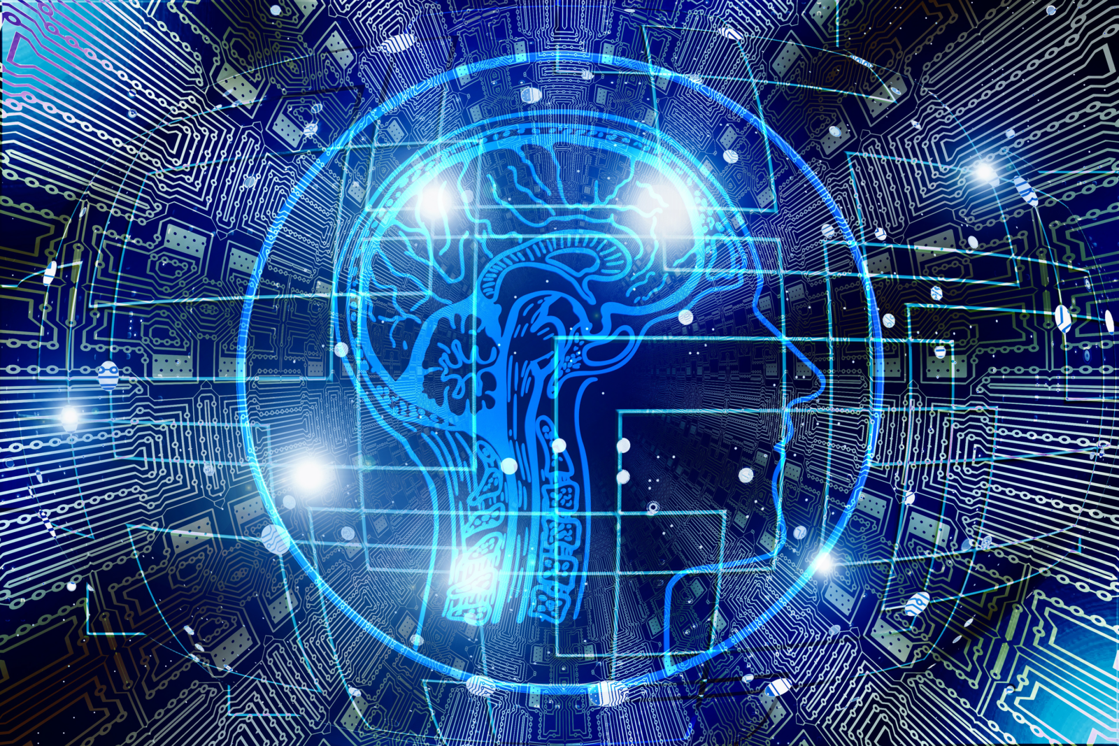 Startup Accelerator Y Combinator Bets Big on AI