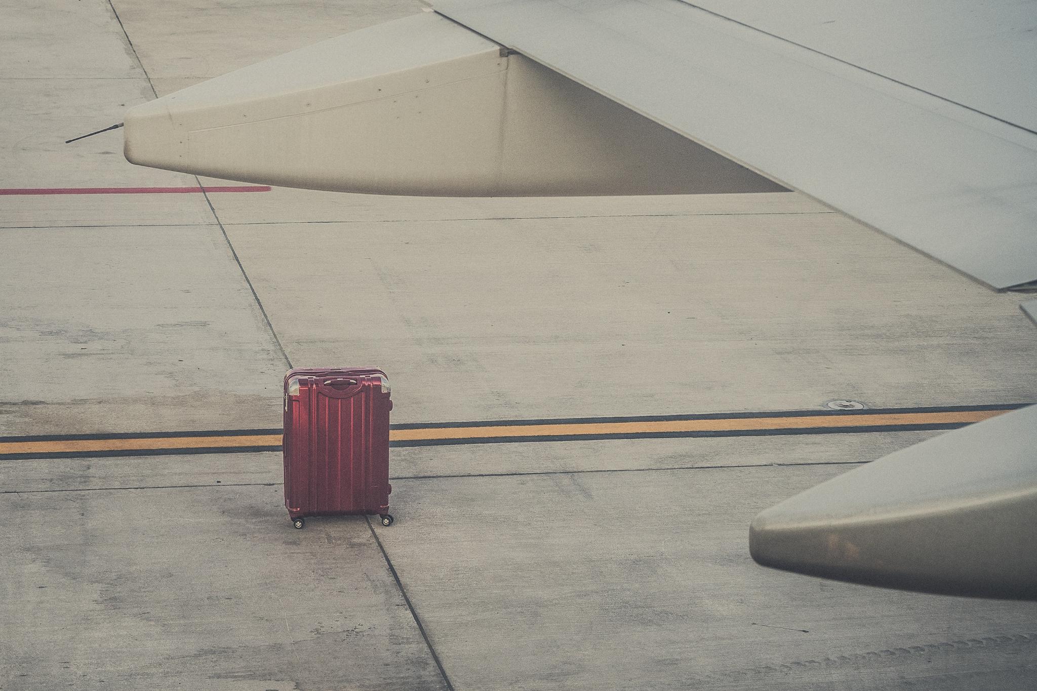 (Photo by Ante Hamersmit on Unsplash)
