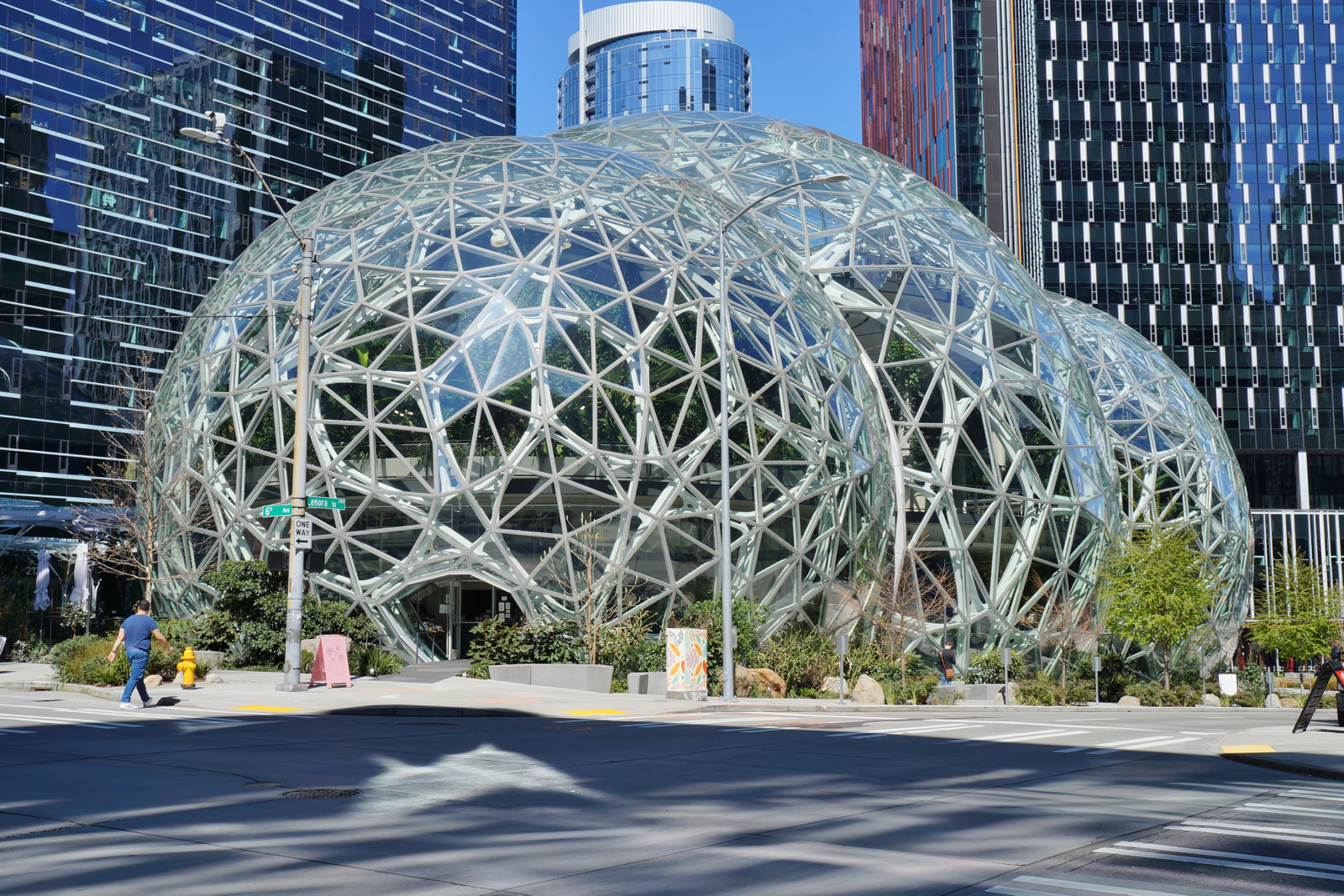 Amazon Turns AI Models into Study Buddies