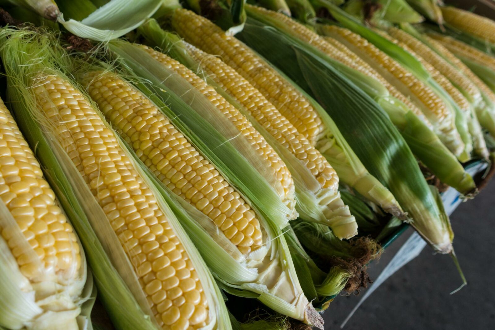 Could Air Travel Be Big Business for Corn Ethanol Farmers?