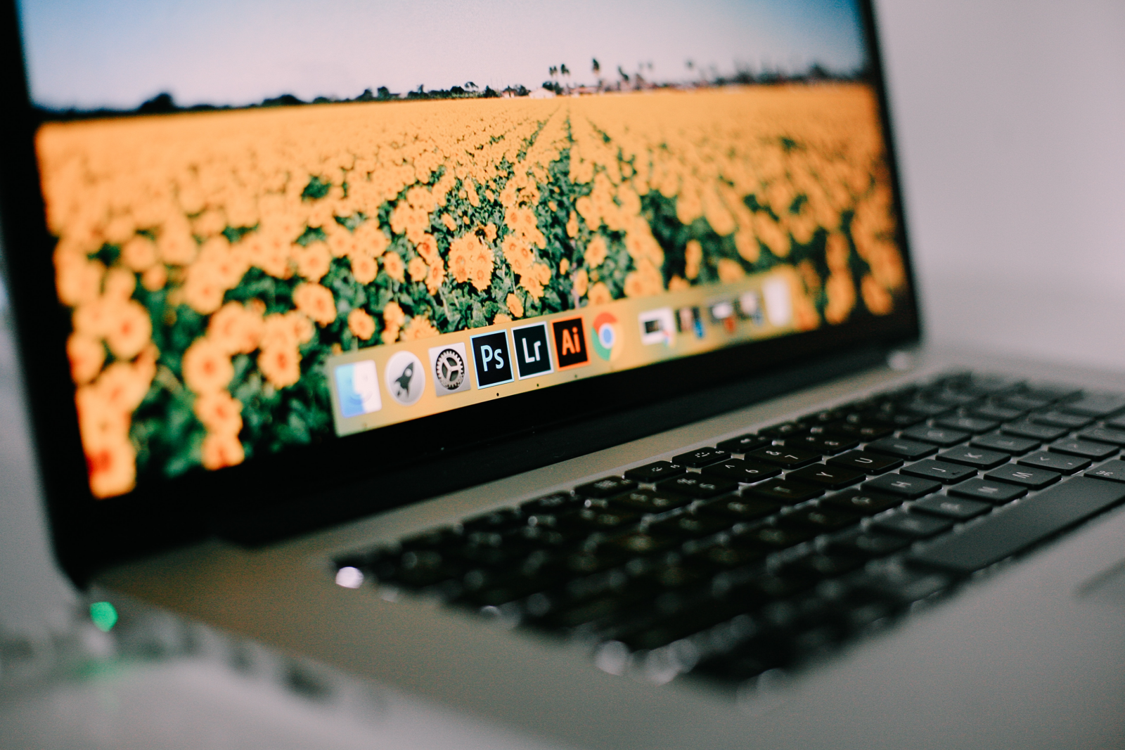 Adobe Continues AI Push By Keeping a Close Eye on User Behavior