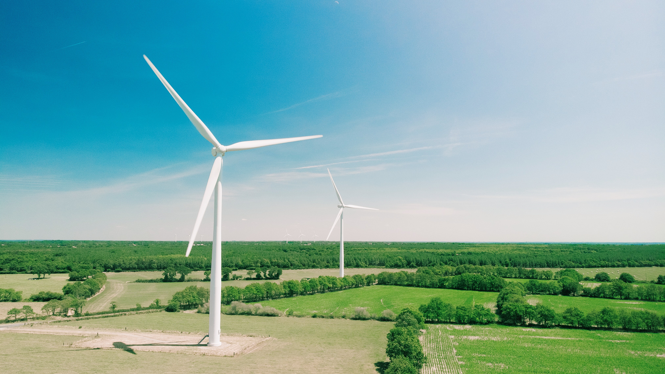 Photo of wind turbines