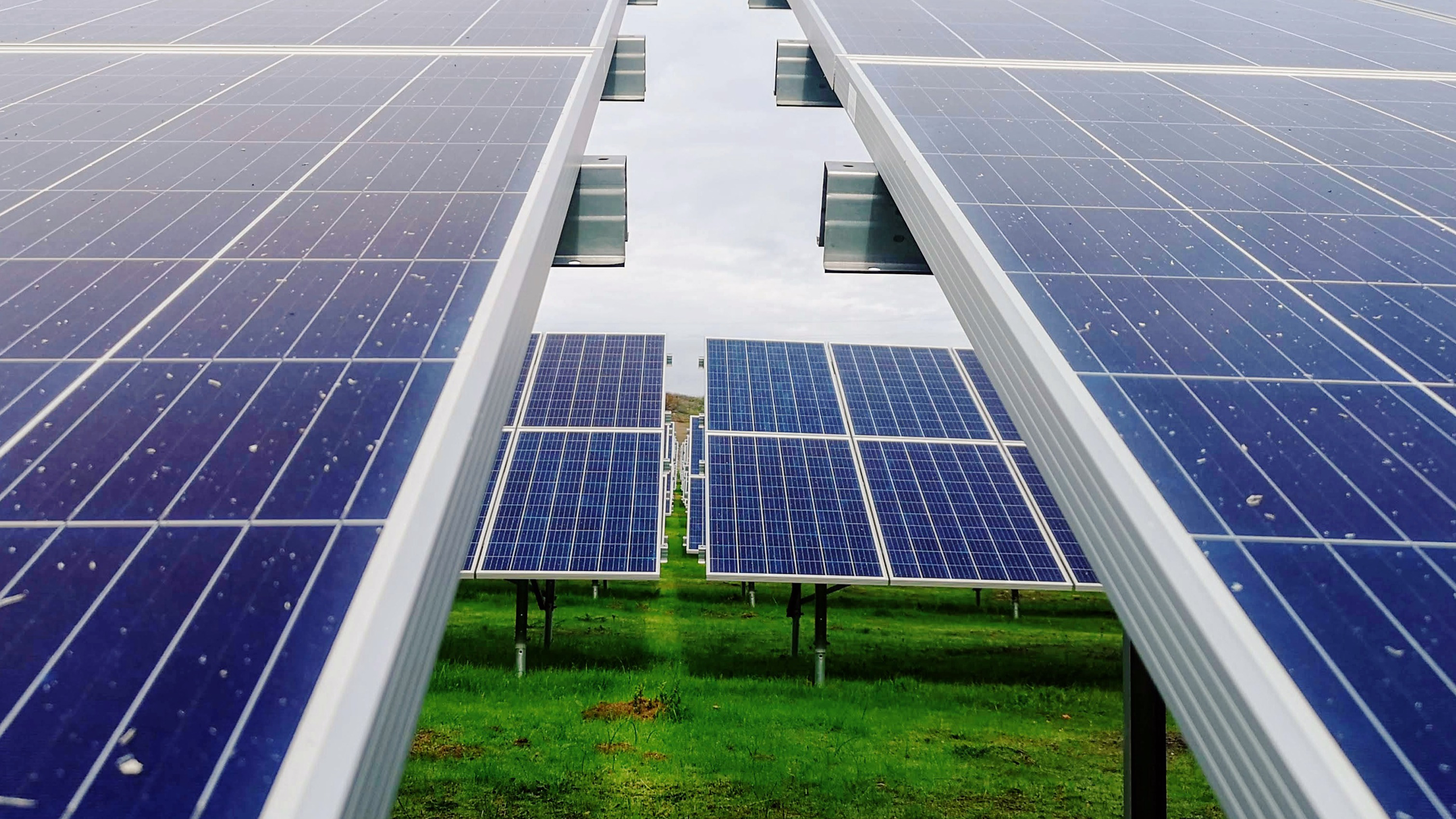 Photo of solar panels