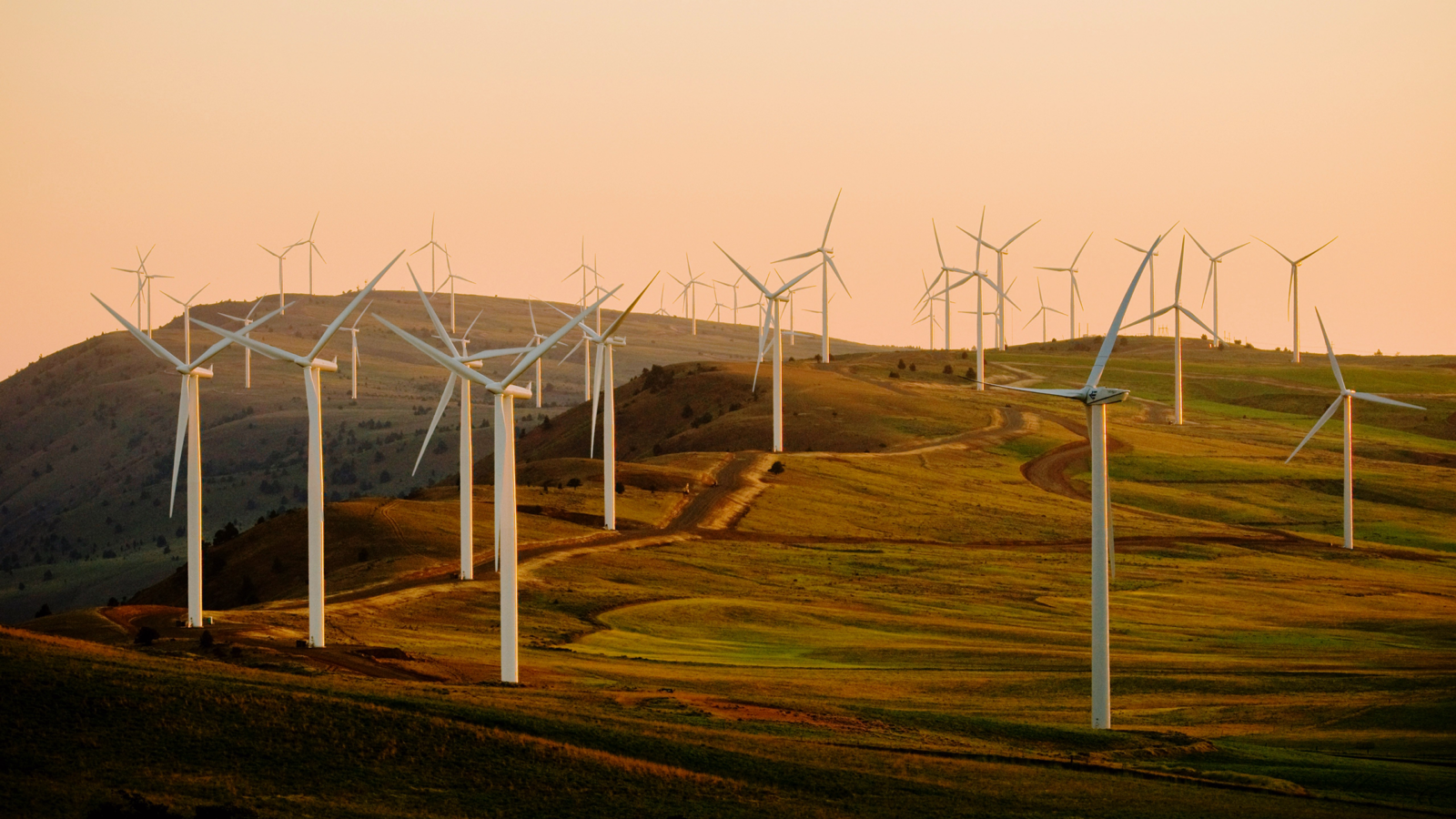 Google Announces Massive Wind Farm Deal