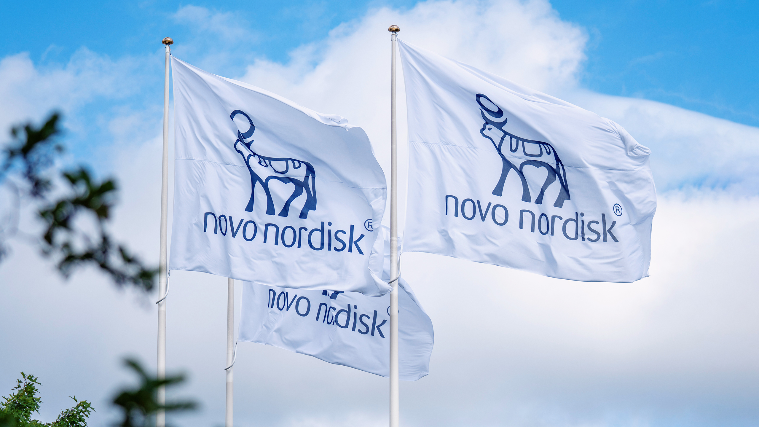 Photo of Novo Nordisk flags