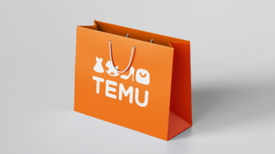 Temu Gets Spooked by Possible TikTok Ban