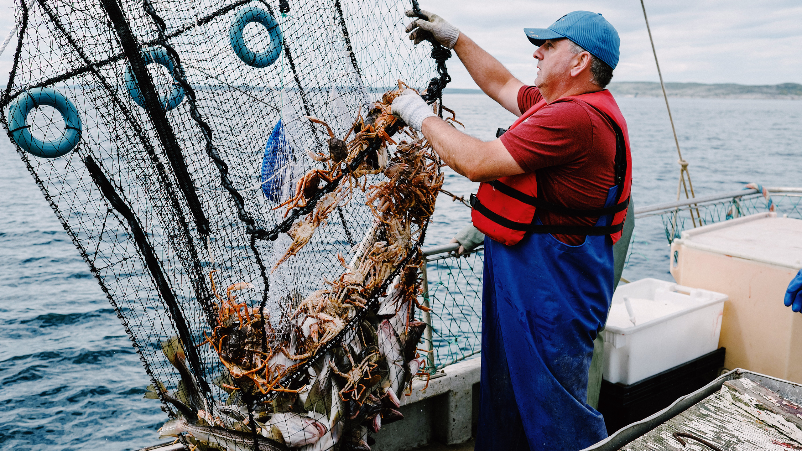 Photo of a fisherman using a cod pot in Newfoundland, Canada