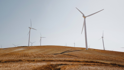 BP Puts $2 Billion US Onshore Wind Business Up for Sale