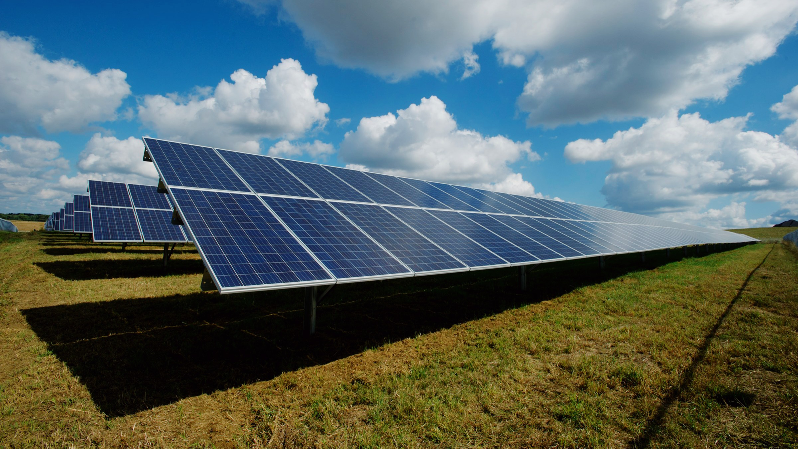 Photo of solar panels