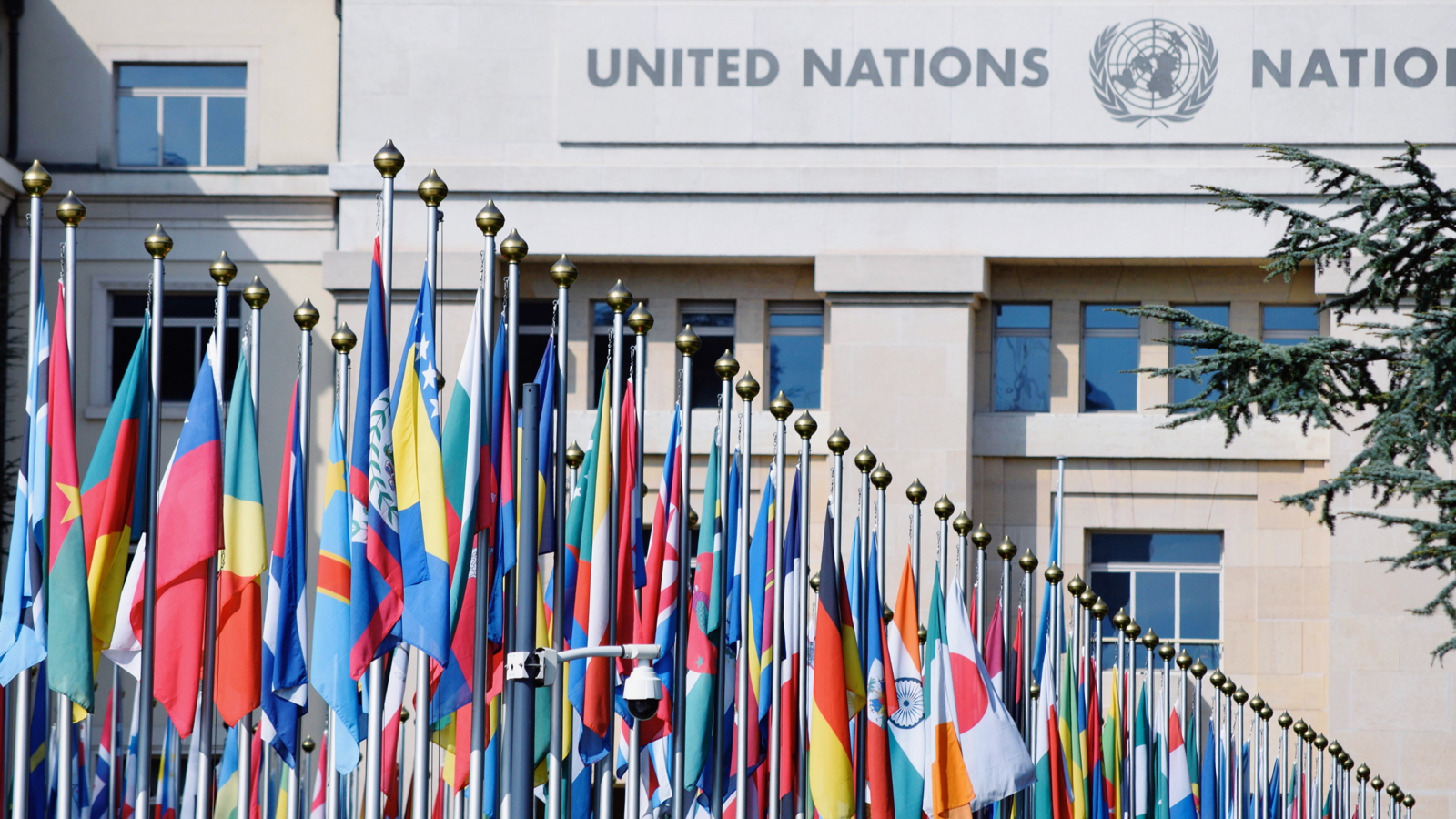 The United Nations Wants to Stamp Out Cybercrime
