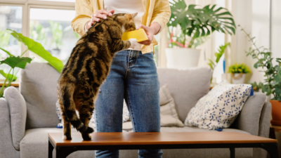 Cheerios Owner Buys Petcare Brand for $1.45 Billion