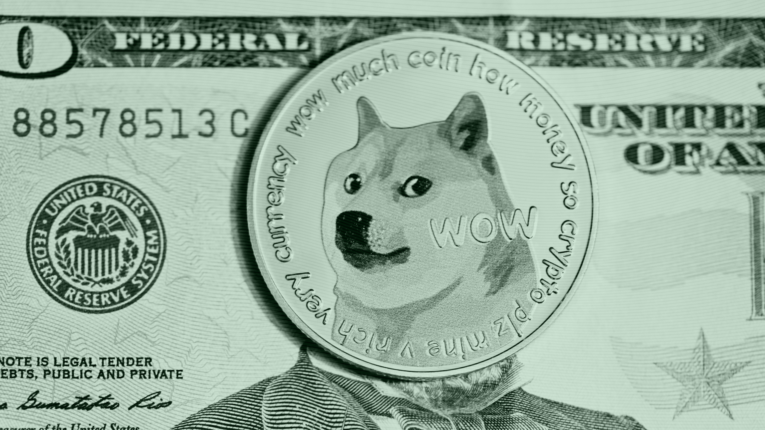 Photo of a Dogecoin