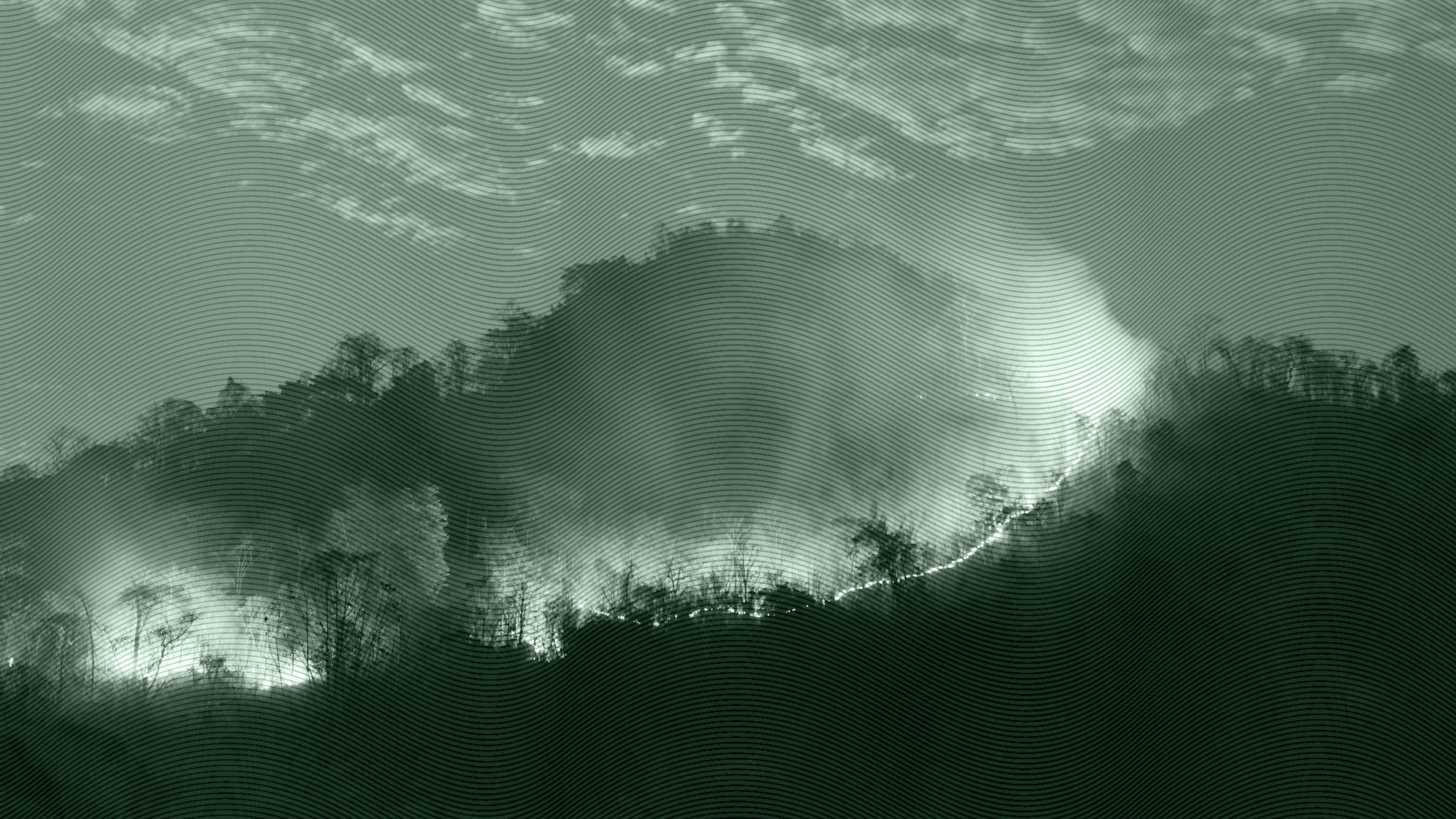 Photo of the Los Angeles wildfires