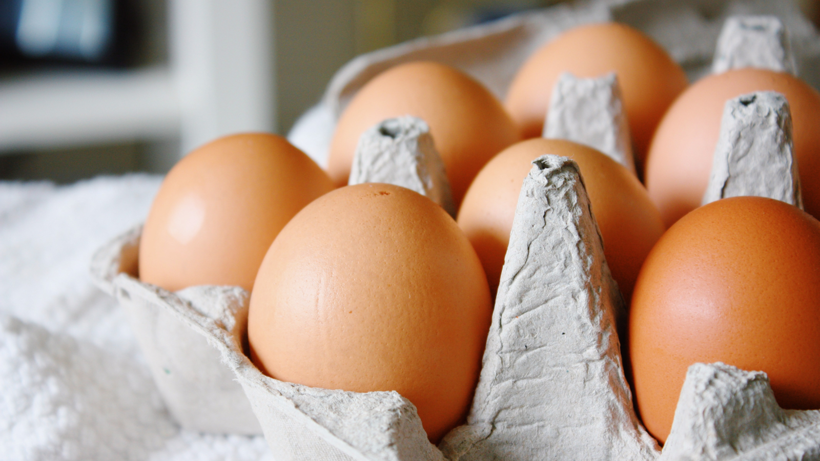 Brazil’s ‘Egg King’ Buys Hillandale Farms