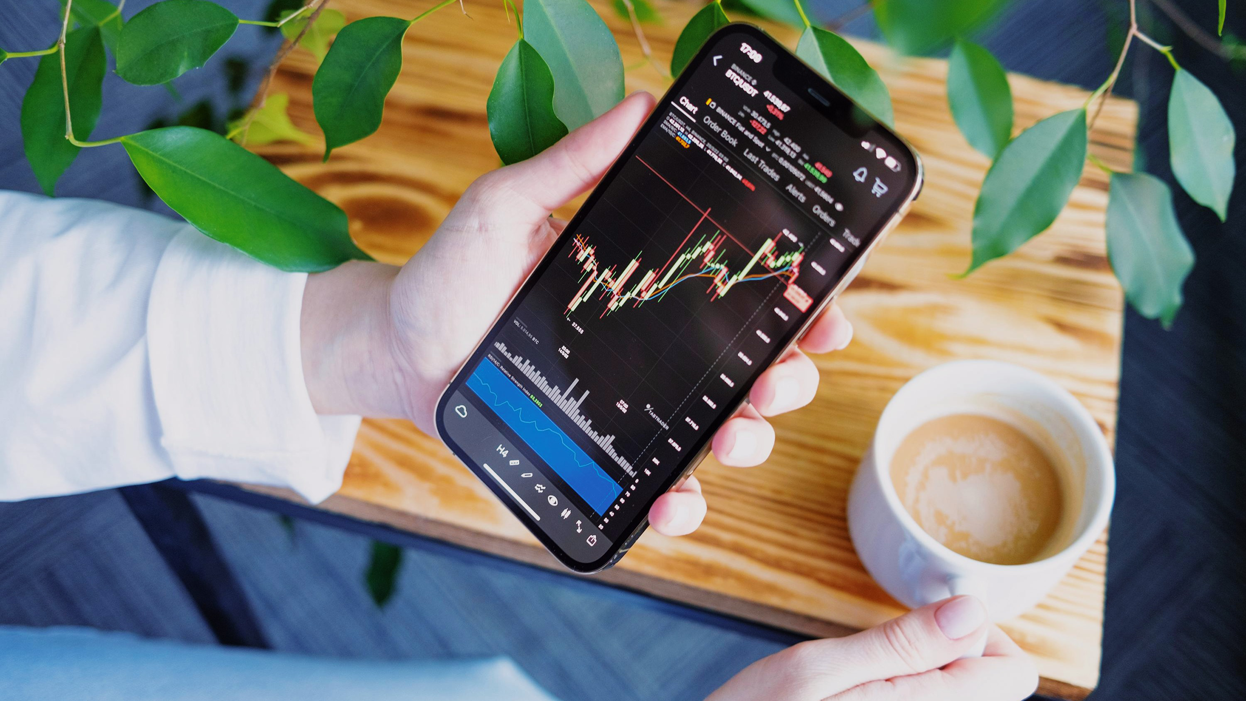 Photo of a person looking at finance charts