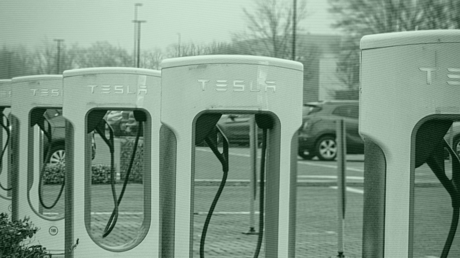 Are Investors Buying Tesla’s Nosedive?