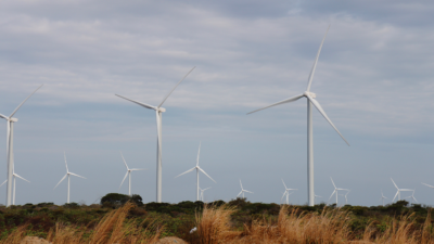 The Leading State for Renewable Energy Generation is… Texas?