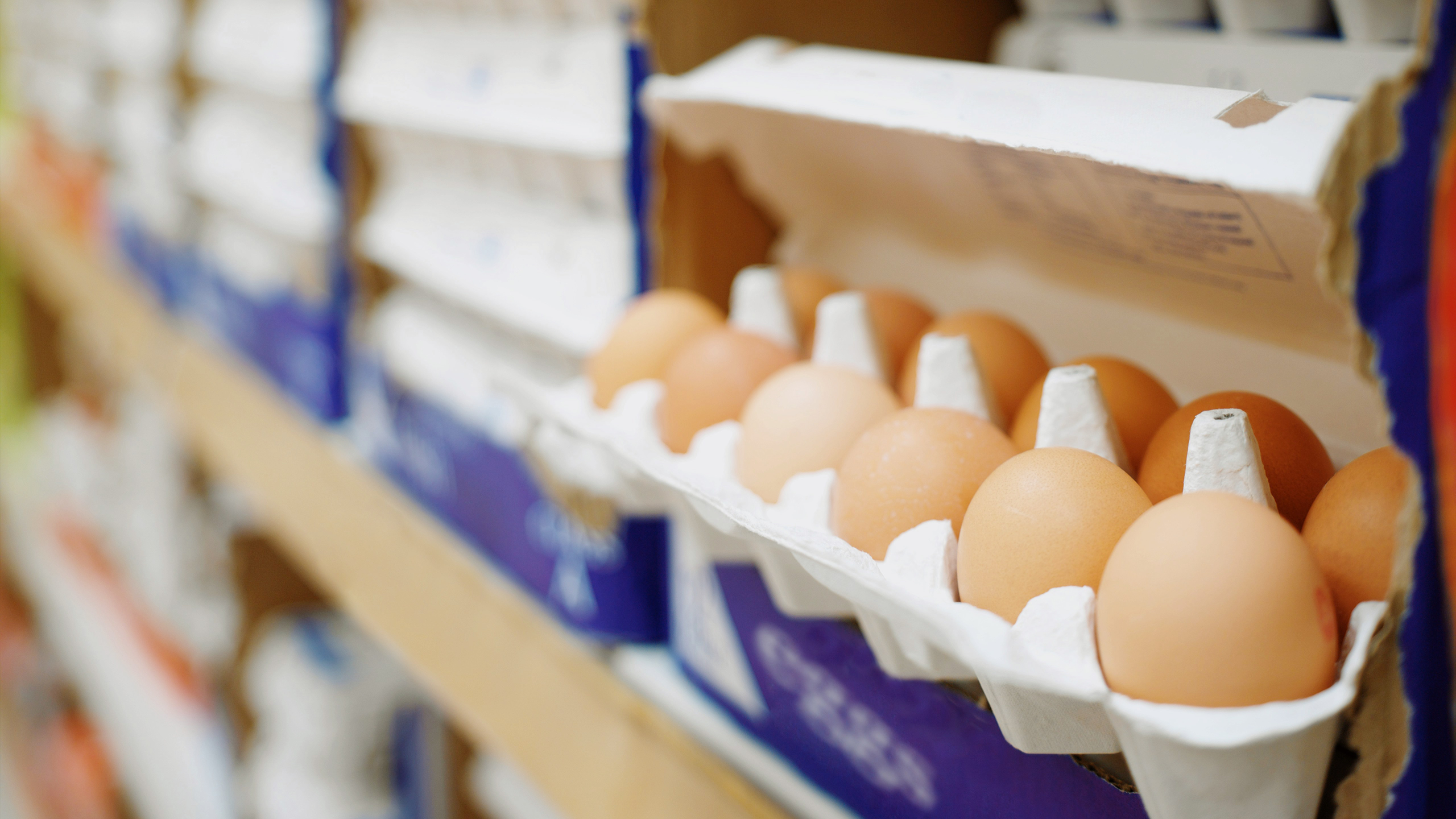 Photo of a carton of eggs