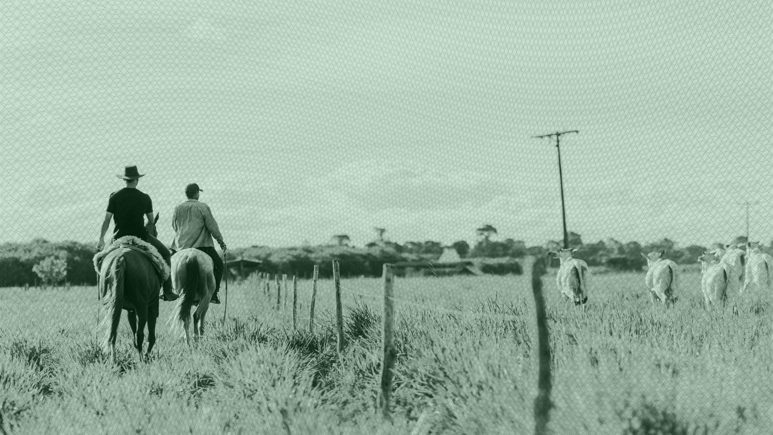 Photo of people riding horses on a ranch