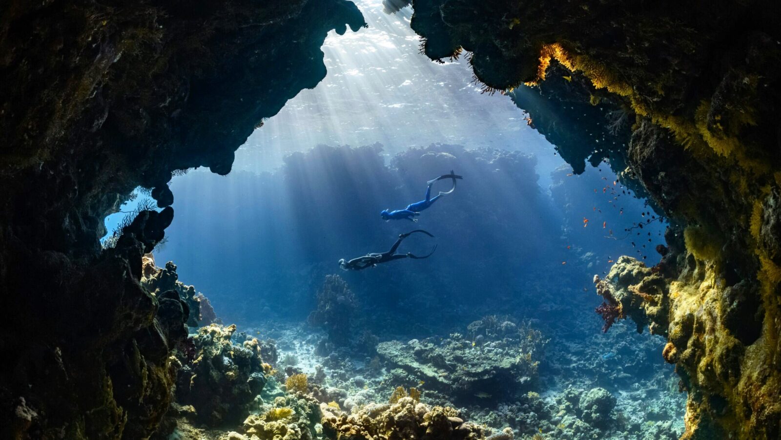 Rising Tide of Thematic ETFs Could Put Investors Underwater