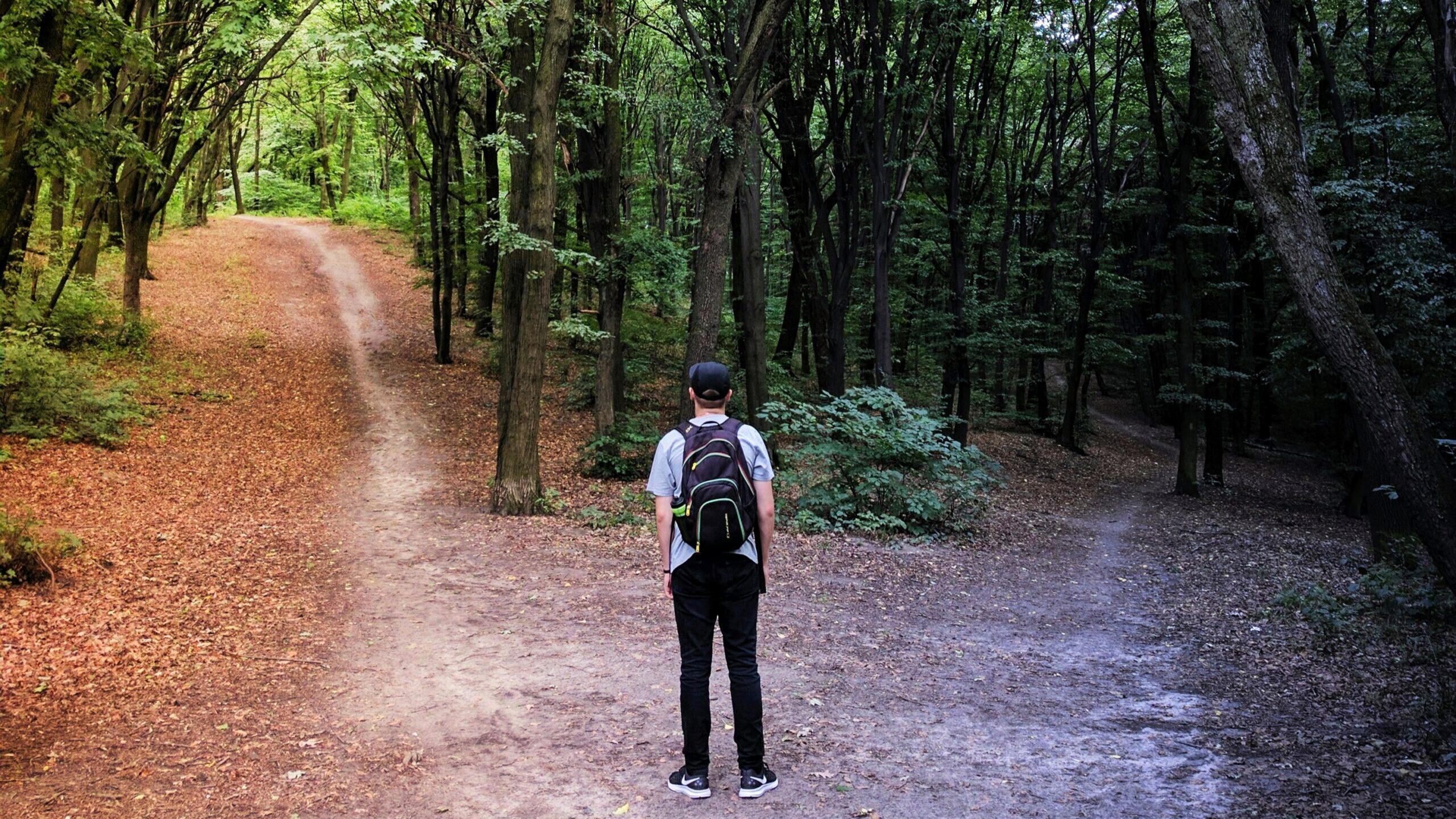 Photo of a hiker standing at a crossroads between two paths