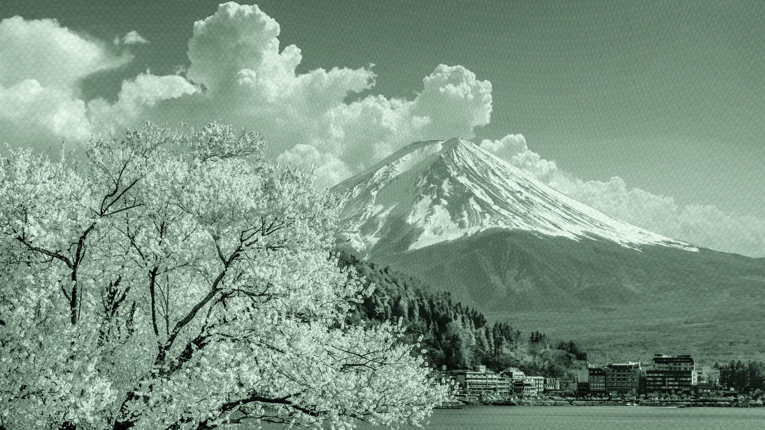 Mt. Fuji in Japan