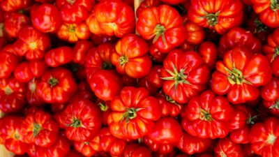 Forget Eggs. Tomato Prices Swell as Inflation Hits Three-Year High
