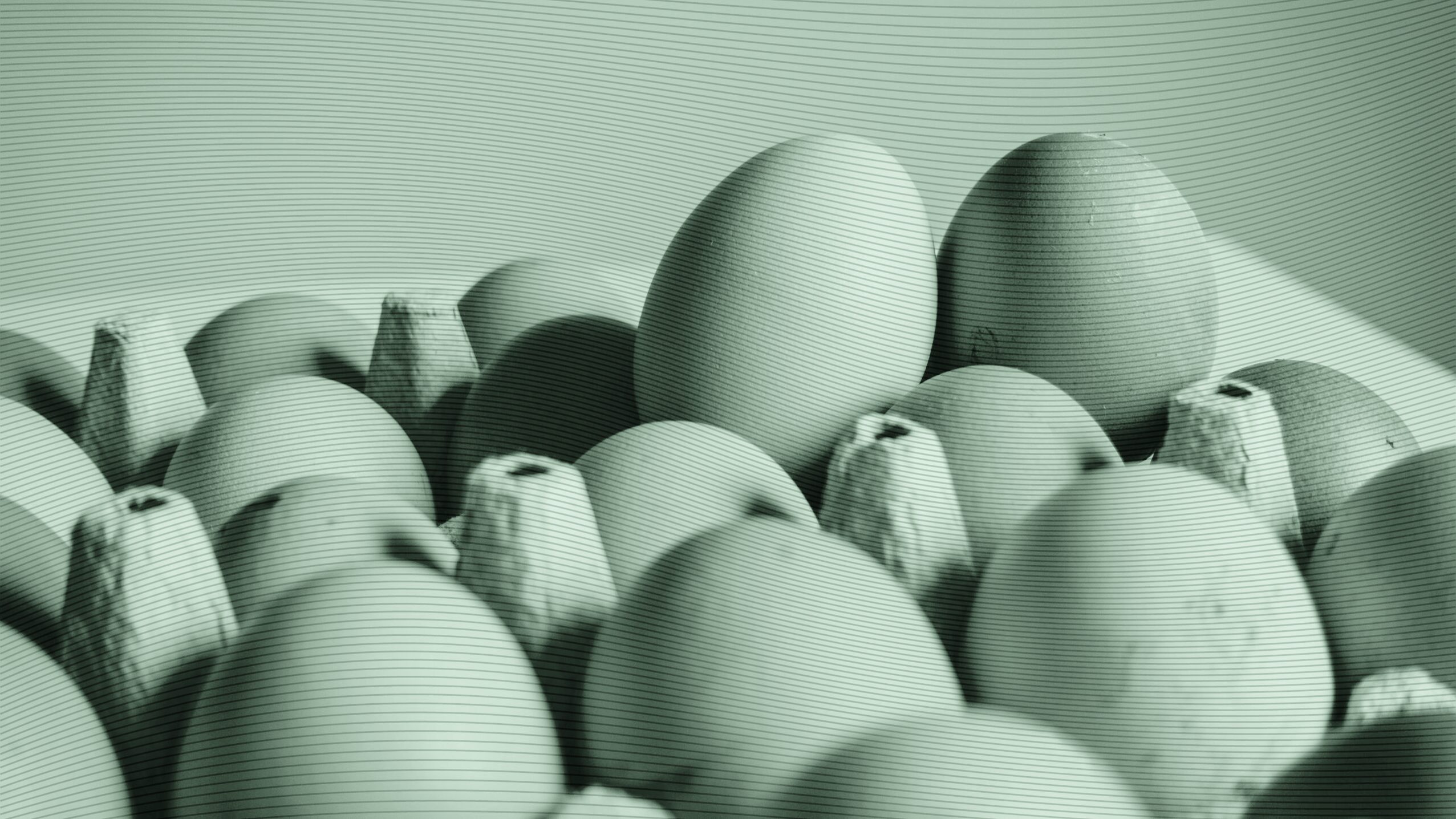 Photo of eggs in a carton